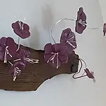 La Grange De Sophie