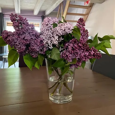 La Grange De Sophie Berstett