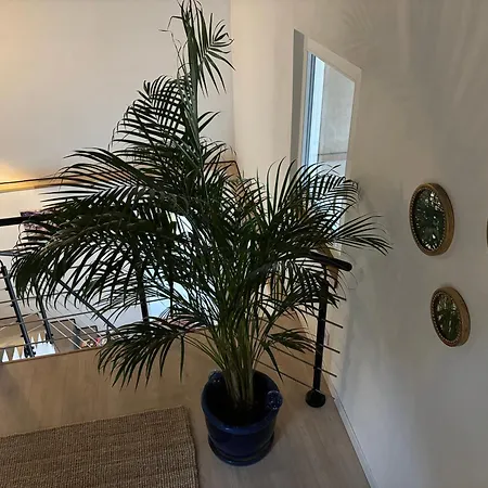 Daire La Grange De Sophie *